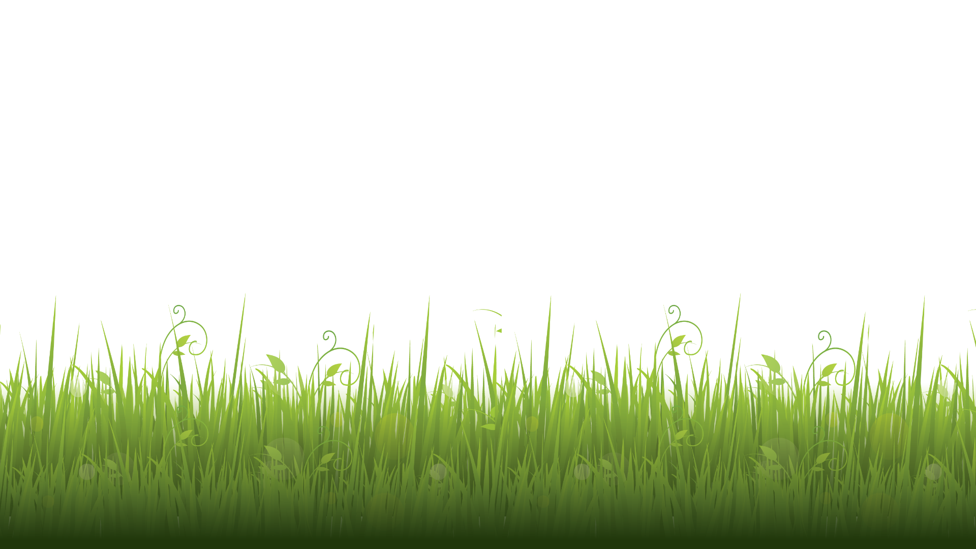 Liewe Heksie se gras